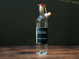 Grappa Secolo Domenis