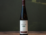 Vitese Syrah Biologico DOC