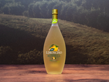 Limoncino Bottega
