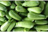 Courgettes mini vertes