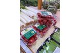 Tomates cerise en barquette