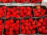 Fraises en barquette