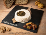 Mothais Sur Feuille