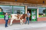 La Ferme de vos Envies