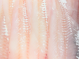 Filet de merlan