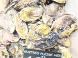 12 Huitres creuses pleine mer N°2