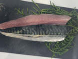 Filet de maquereau