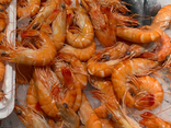 Crevettes de Madagascar