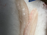 Filet de sole