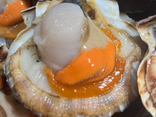 Coquille Saint-Jacques