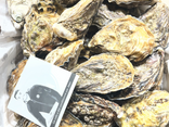 12 Huîtres spéciales GILLARDEAU N°2