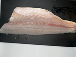 Filet de bar