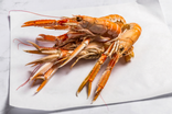 Langoustines - Grandes