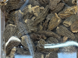Morilles séchées spéciales