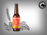 Bière Guinguette BAPBAP Ipa - 75cl