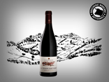 Vin blanc Le Temps est venu 75cl