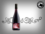 Vin rouge Cabernet Franc 75cl