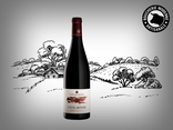 Vin rouge Mon Village - Côte rôtie 75cl
