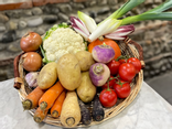 Le panier de légumes de saison