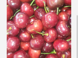 Cerise FRANCE