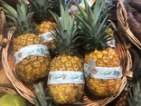 Ananas avion
