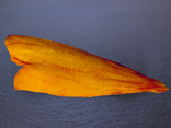 Filet de haddock