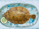 Limande sole