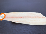 Filet de bar de ligne