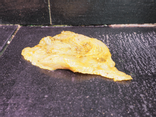 Escalope de dinde mariné Thym citron