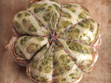 Melon d'agneau  mariné