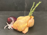 Coquelet