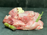 Lapin