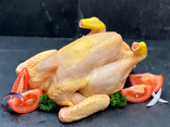 Poulet jaune fermier