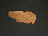 Escalope de veau panée