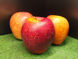 Pomme gala