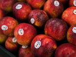 Nectarine blanche