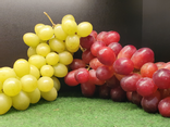 Raisin blanc centenial