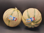 Melon Philibon