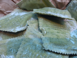 Raviolis du jour
