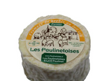 Petit Paulinetois