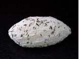 Lorenthym