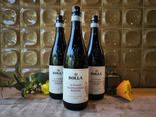 LE POIANE VALPOLICELLA RIPASSO SUPERIORE DOC ROUGE - 75CL