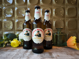 BIERE MORETTI - 33CL
