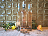 PINOT GRIGIO VAJA BLUSH VENEZIA DOC ROSE - 75CL