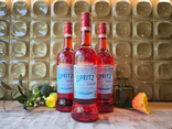 SPRITZ LUXARDO - 1L