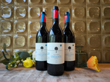 CHIANTI BISKERO BIO ROUGE - 75CL
