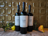 PILUNA PRIMITIVO IGT ROUGE - 75CL