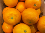 Orange Navel (de table)