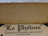 Le Phébus