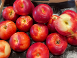 Nectarine chair blanche